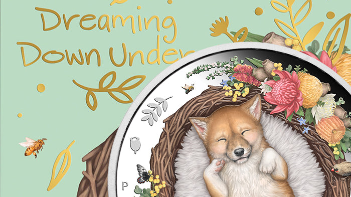 2021 1/2oz Silver Proof Coloured Coin - Dreaming Down Under - Dingo