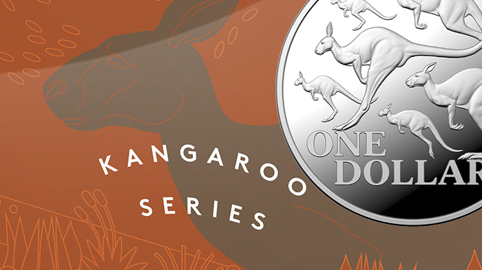 Kangaroo Series - Red Kangaroo