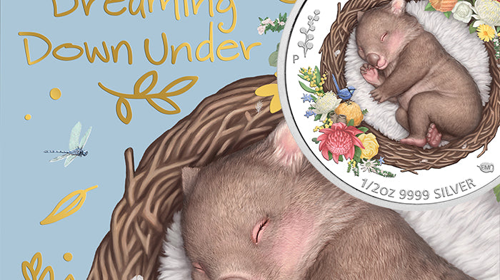 2021 1/2oz Silver Proof Coloured Coin - Dreaming Down Under – Wombat
