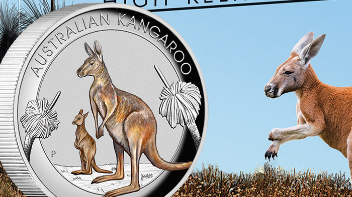 2020 1oz Silver Coloured High Relief Coin - Australian Kangaroo
