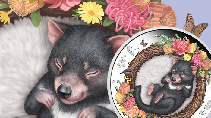 2021 1/2oz Silver Proof Coloured Coin - Dreaming Down Under - Tasmanian Devil