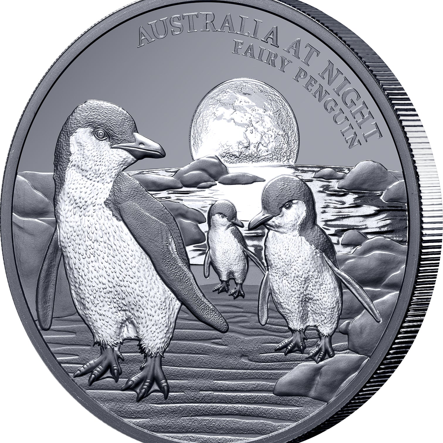 Australia at Night Fairy Penguin 2024 $1 1oz Silver Black Proof Coin