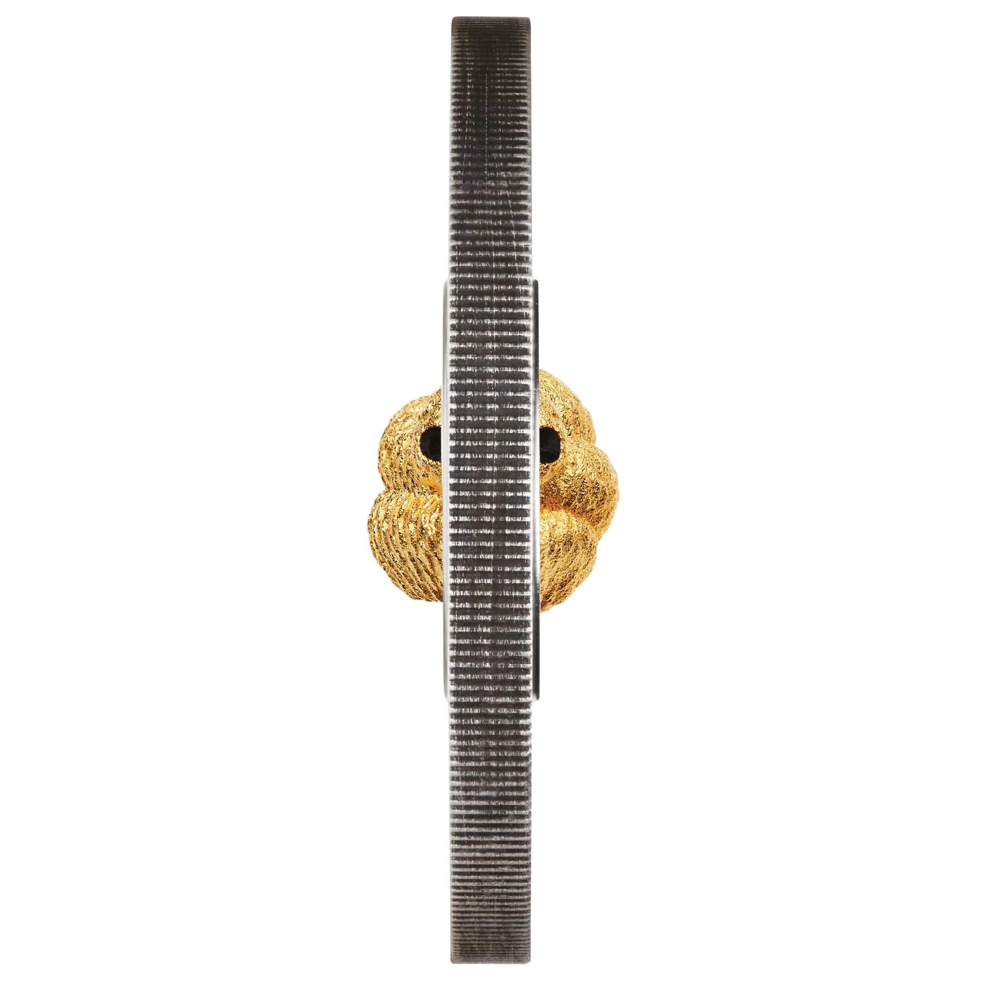 Perth Mint Year of the Snake Rotating Charm 2025 1 oz Silver Antiqued Coin