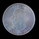 2025 Canadian Maple Leaf Hologram 1 oz Coloured Silver Coin