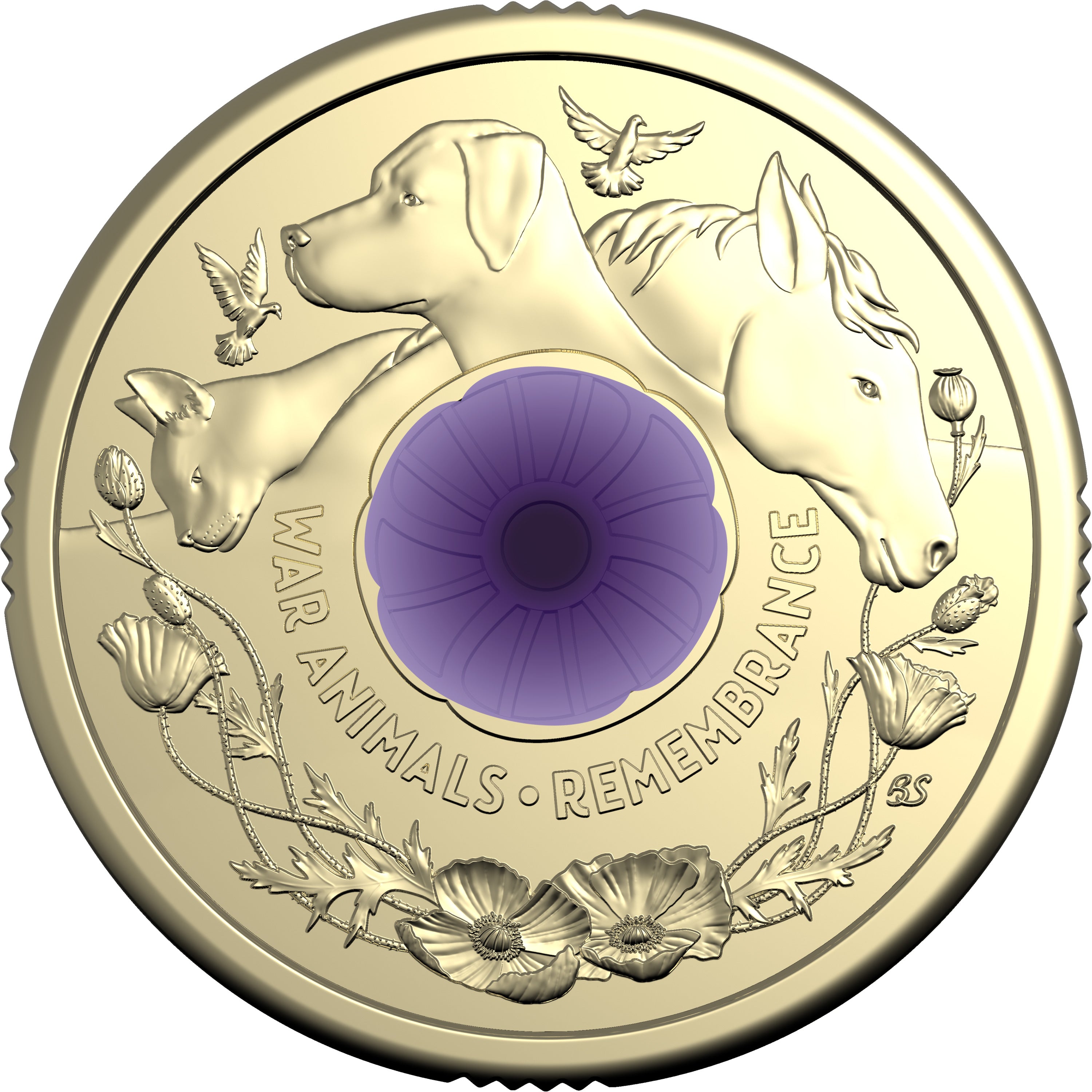 Royal Australian Mint 2024 War Animals Remembrance $2 Purple Poppy Roll