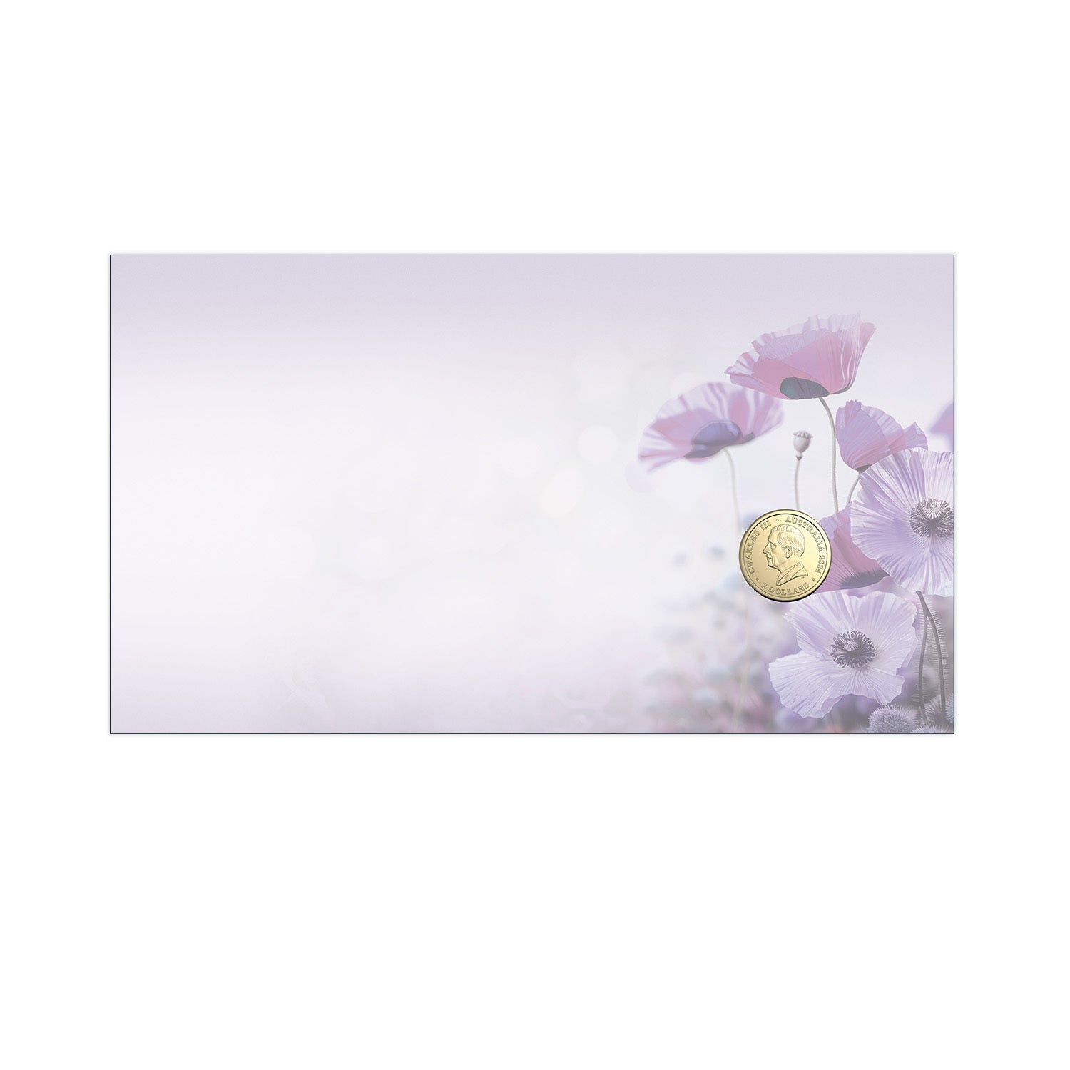 Remembrance Day Animals IN War PNC