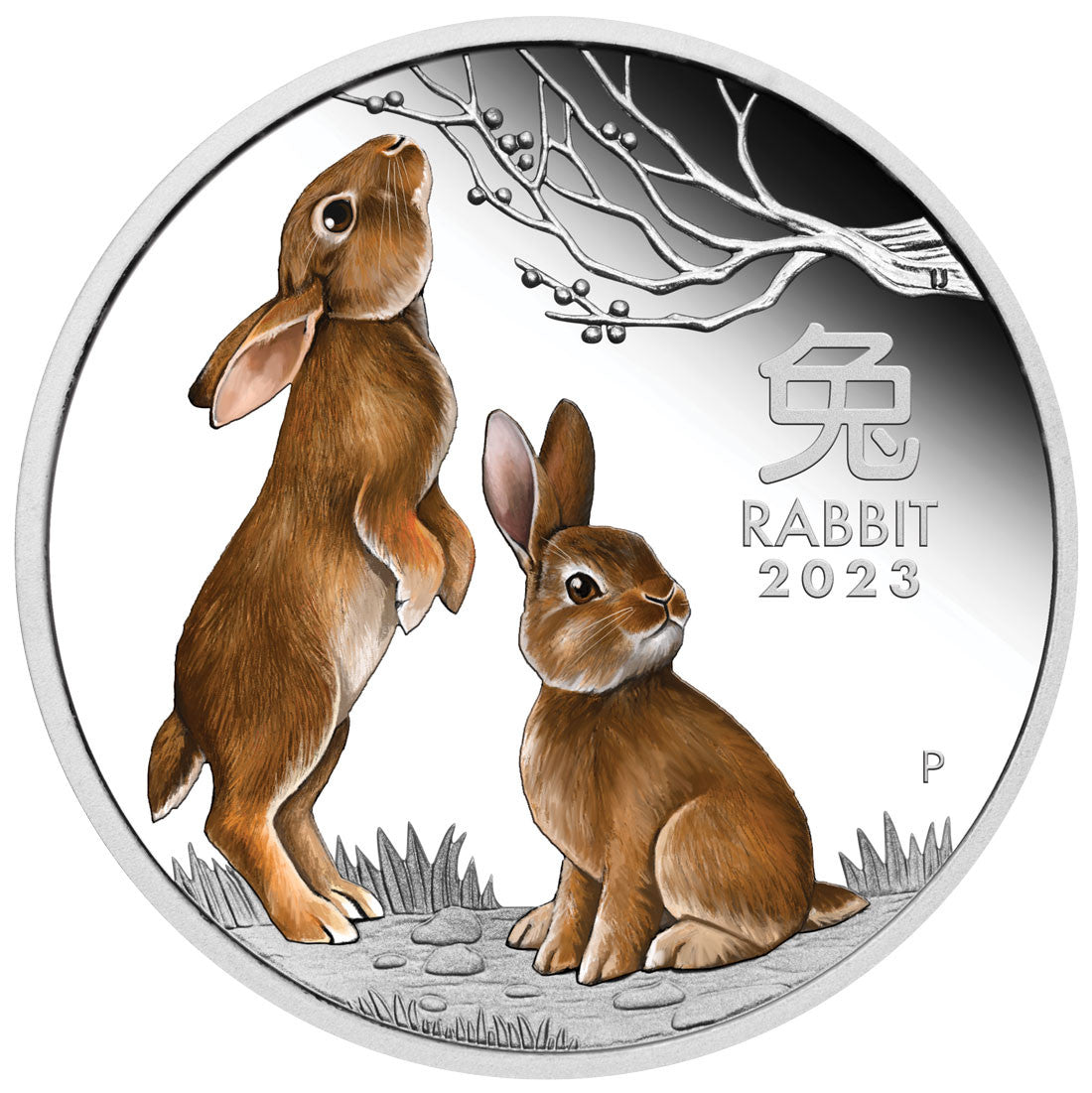 2023 Year of the Rabbit 1oz Silver Proof Coloured Coin