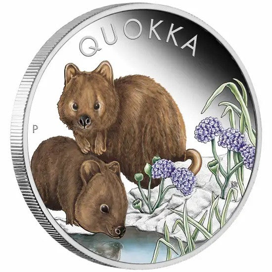 Coin 2023 Quokka 1 oz 99.99% Silver Proof Coloured Coin