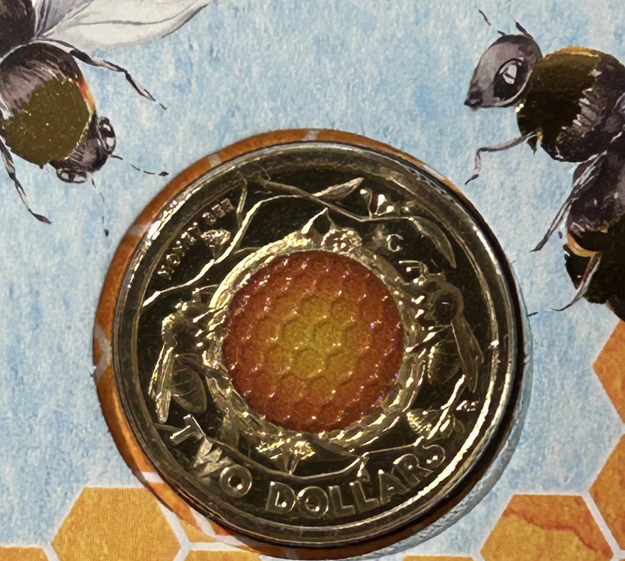 International Coin of the Year PNC