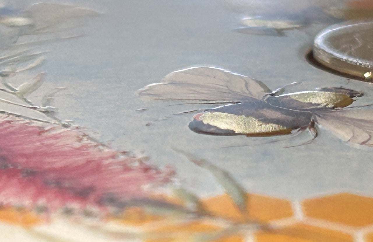 International Coin of the Year PNC