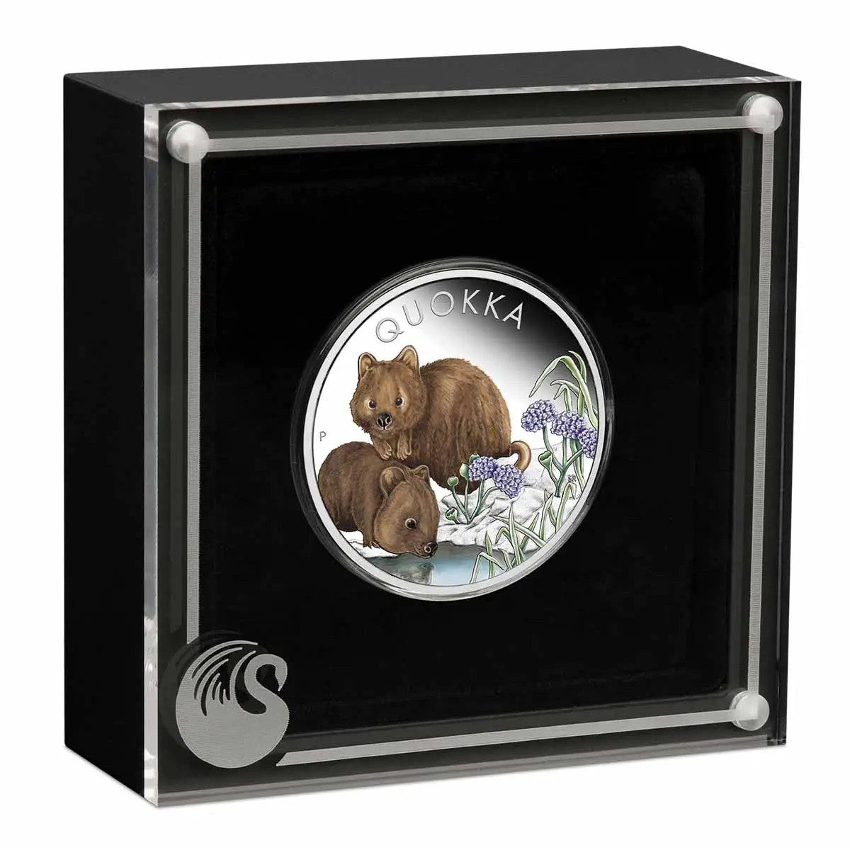 Coin 2023 Quokka 1 oz 99.99% Silver Proof Coloured Coin