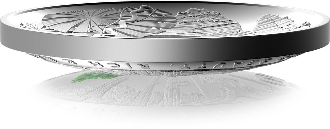 Daintree Rainforest - Beauty, Rich & Rare - 2022 $5 Silver Coloured Proof Domed Coin