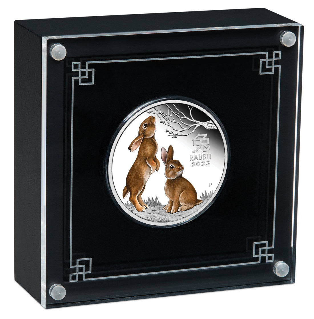 2023 Year of the Rabbit 1oz Silver Proof Coloured Coin