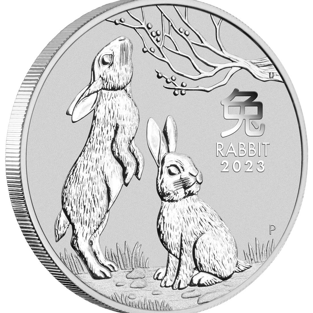 Year of the Rabbit 2023 1oz .9999 Silver Bullion Coin
