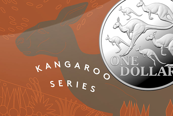 Kangaroo Series - Red Kangaroo