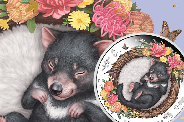 2021 1/2oz Silver Proof Coloured Coin - Dreaming Down Under - Tasmanian Devil