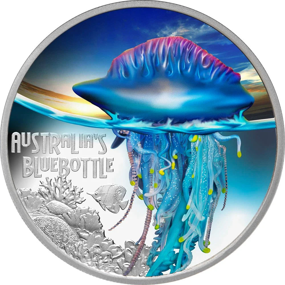 Australia's Bluebottle 2024 Deadly and Dangerous $1 1 oz Silver Proof Coloured Coin