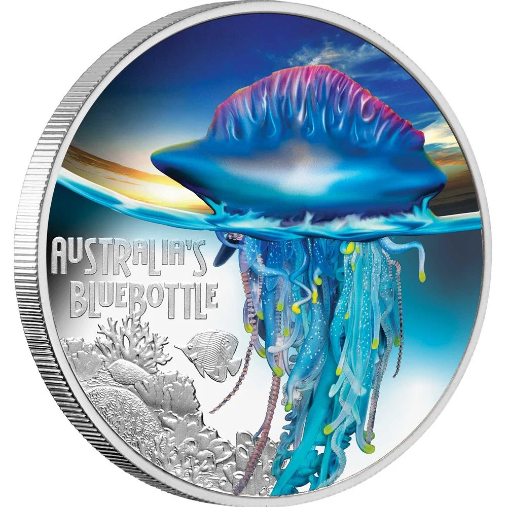 Australia's Bluebottle 2024 Deadly and Dangerous $1 1 oz Silver Proof Coloured Coin