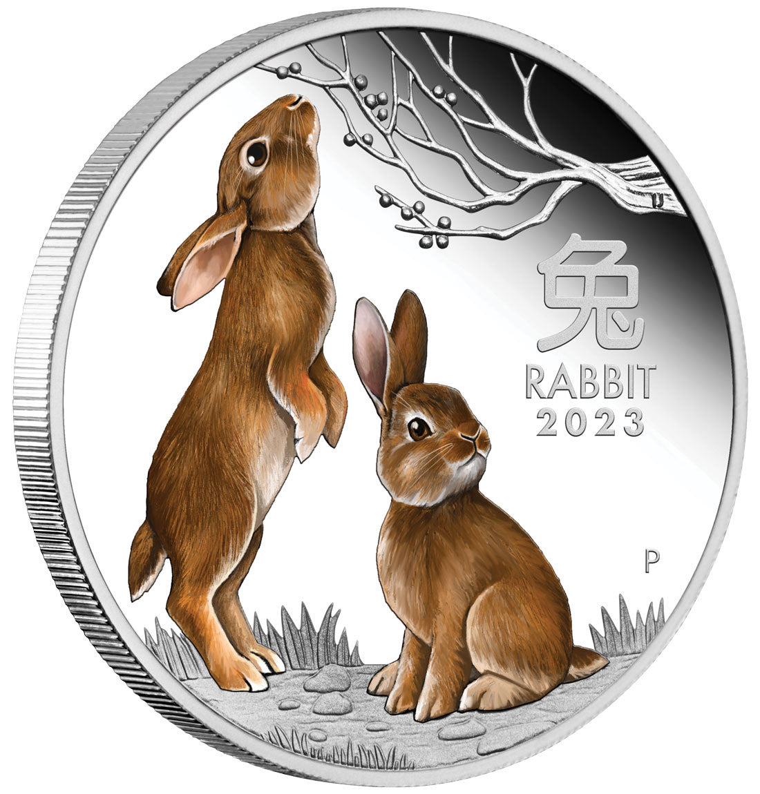 2023 Year of the Rabbit 1oz Silver Proof Coloured Coin