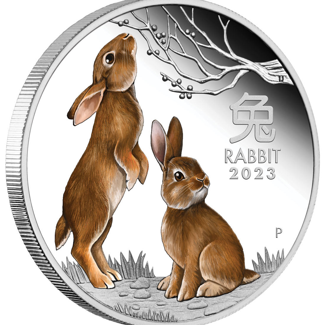 2023 Year of the Rabbit 1oz Silver Proof Coloured Coin