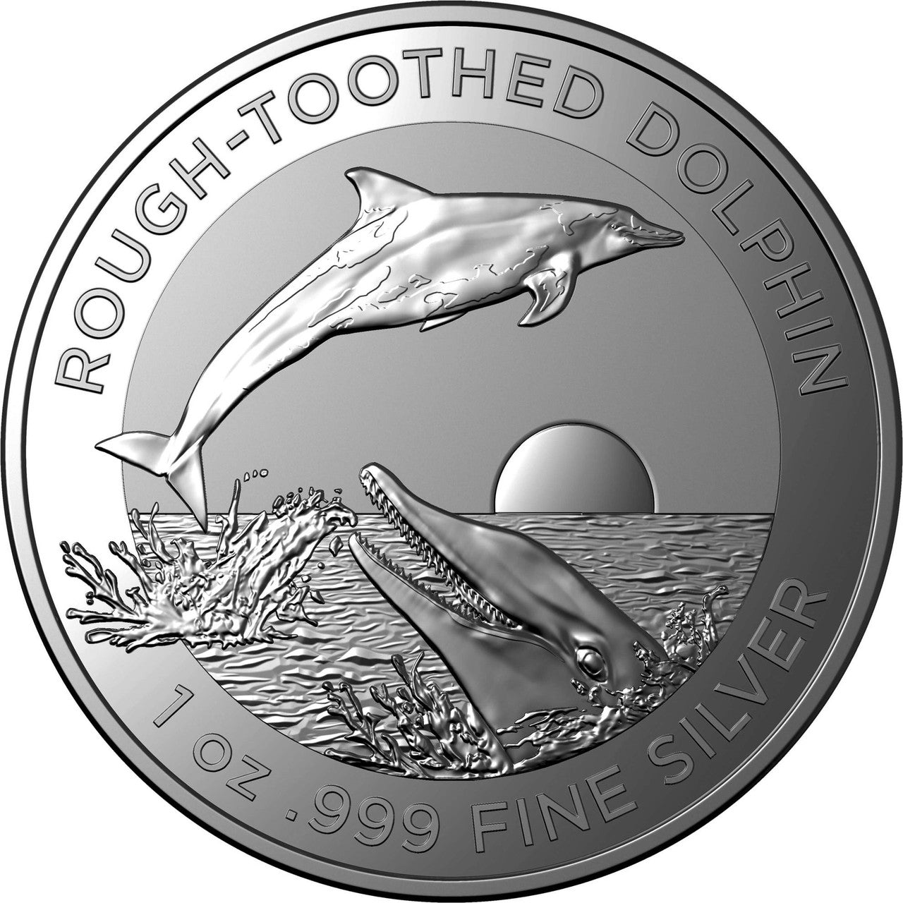 Royal Australian Mint 2022 1oz .999 Silver BU Coin - Australian Dolphin Series - Rough Toothed Dolphin