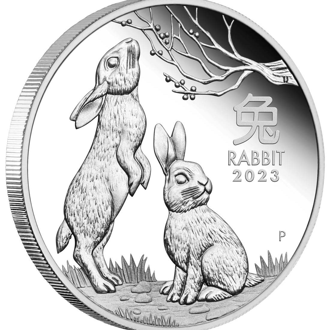 Year of the Rabbit 2023 1oz Silver Proof