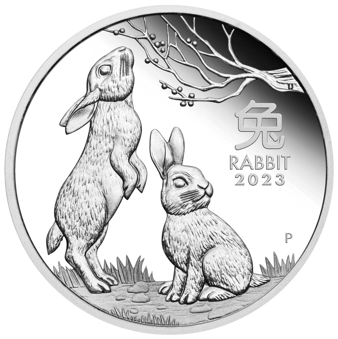 Year of the Rabbit 2023 1/2oz Silver Proof