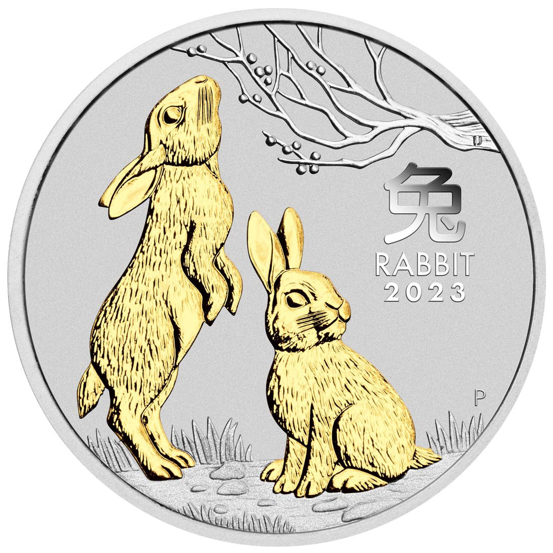 Year of the Rabbit  2023 1oz Silver Gilded Coin - Australian Lunar Series III