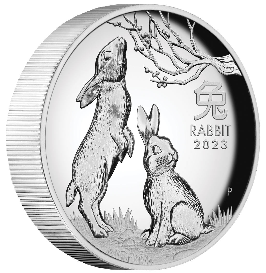 Year of the Rabbit 2023 1oz Silver Proof High Relief Coin