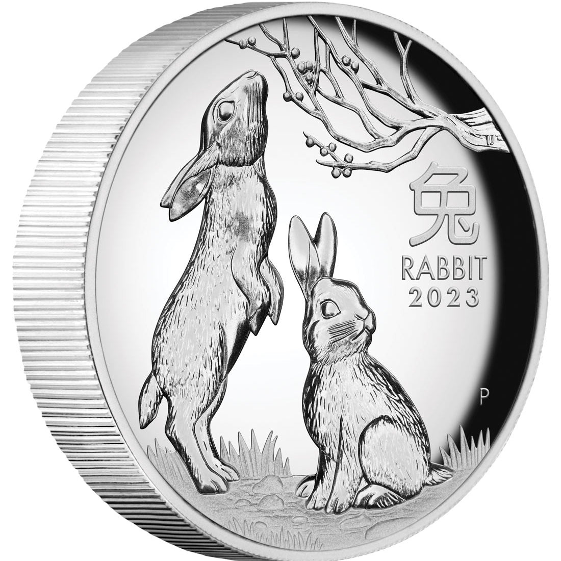 Year of the Rabbit 2023 1oz Silver Proof High Relief Coin