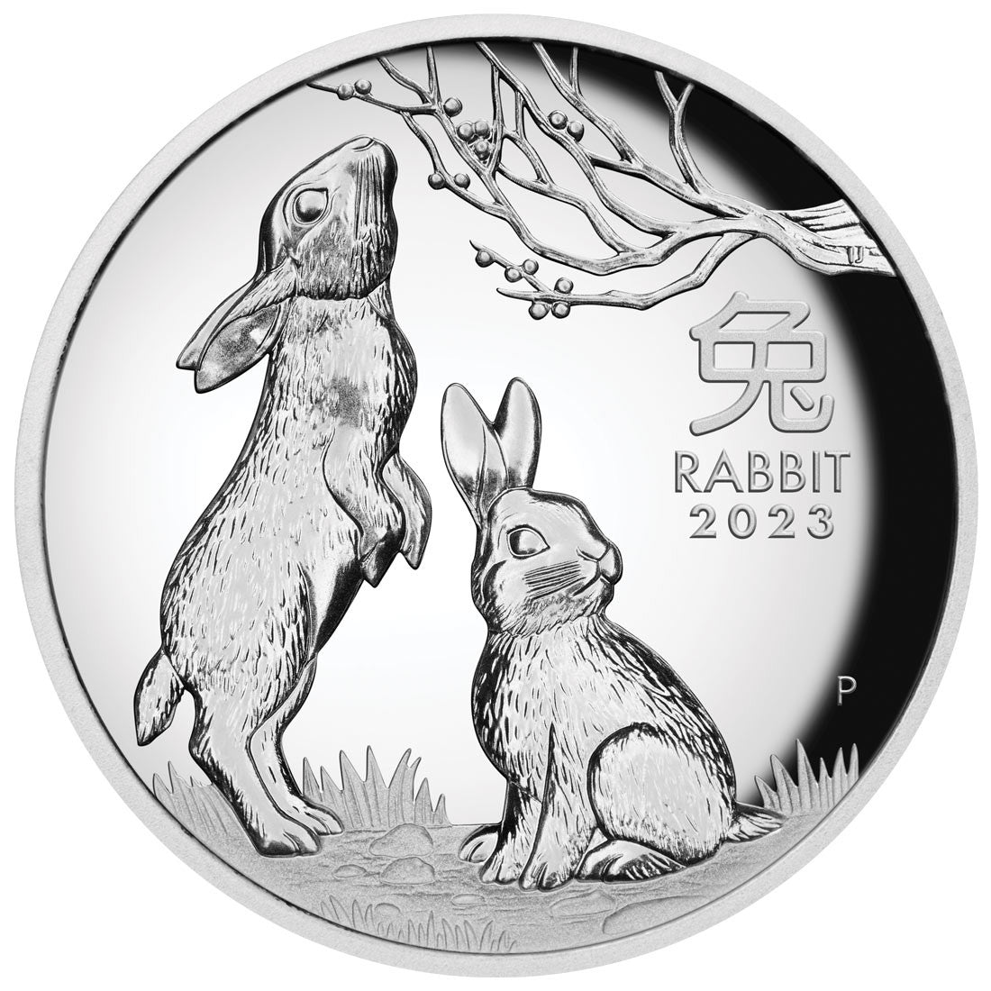 Year of the Rabbit 2023 1oz Silver Proof High Relief Coin