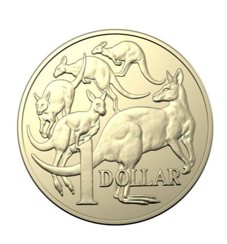 Royal Australian Mint King Charles III $1 UNC Coin Roll Head Tail