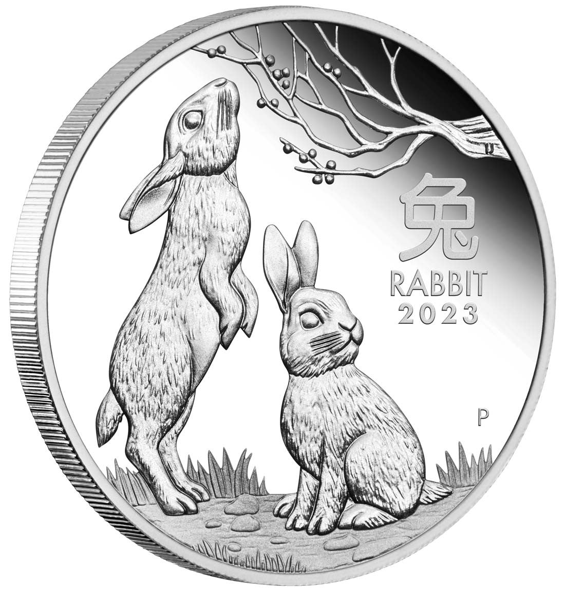 Year of the Rabbit 2023  Silver Proof Three-Coin Set