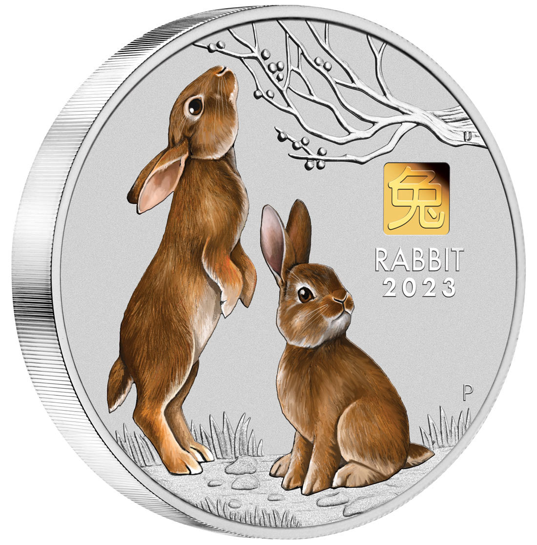 2023 Year of the Rabbit 1 Kilo Silver Coin with Gold Privy Mark