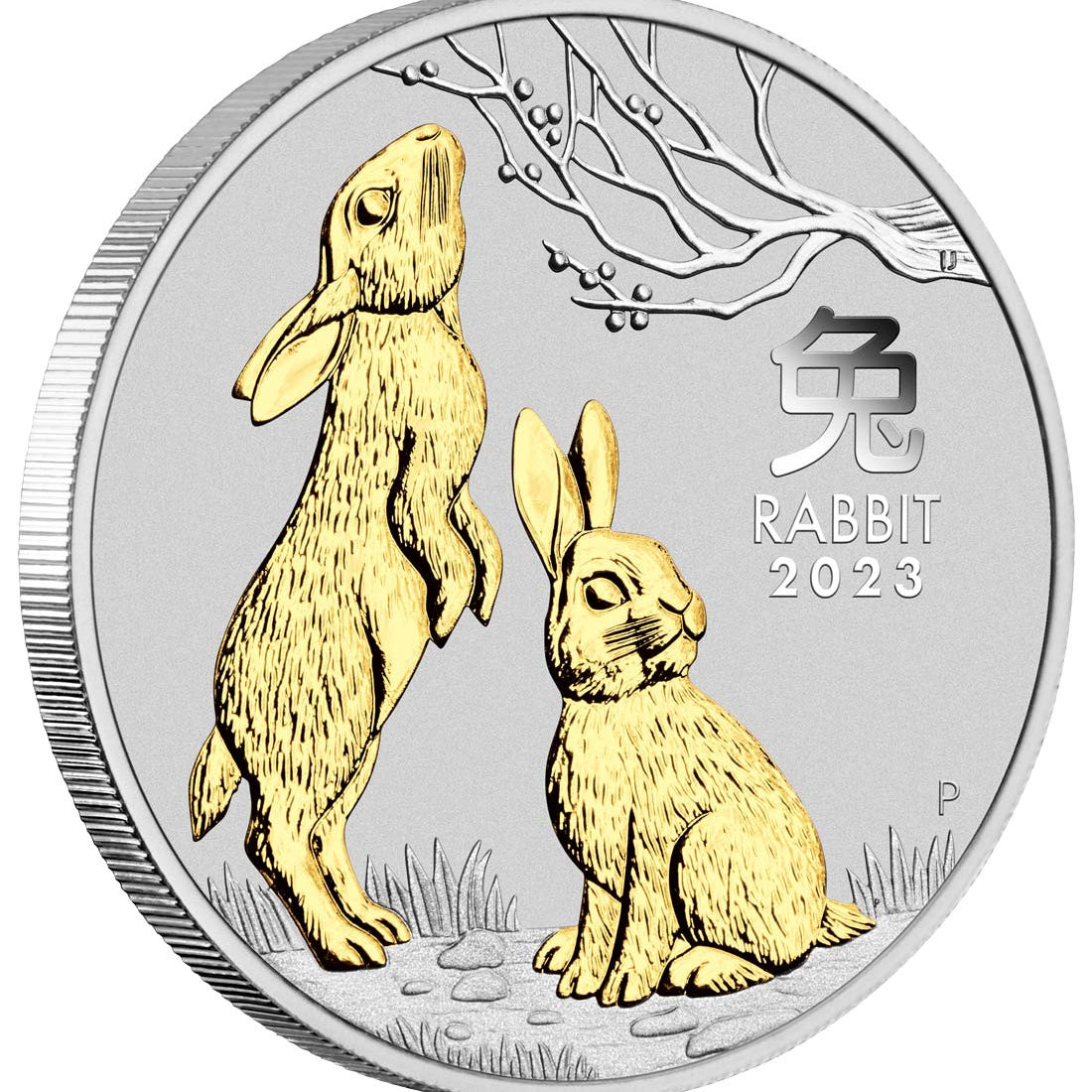 Year of the Rabbit  2023 1oz Silver Gilded Coin - Australian Lunar Series III