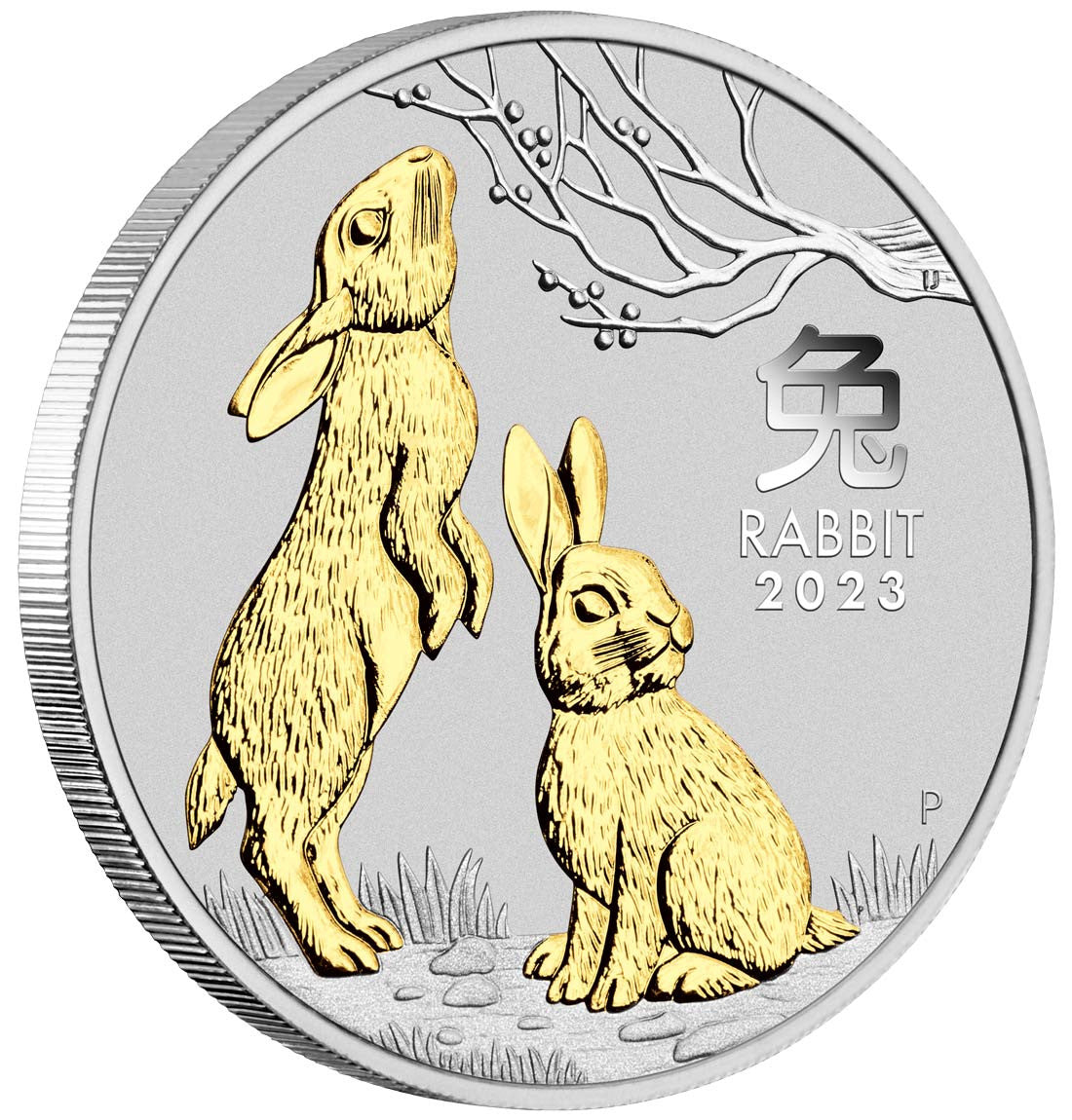 Year of the Rabbit 2023 1oz Silver Trio