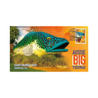 Royal Australian Mint Aussie Big Things The Giant Murray COD 2023 PNC