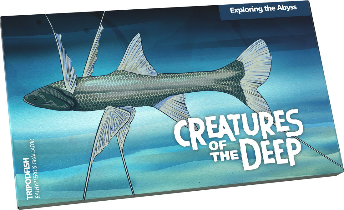 Creatures of the Deep 4 Coin Pack $1 UNC 2023 ALBR Mintmark & Privymark set