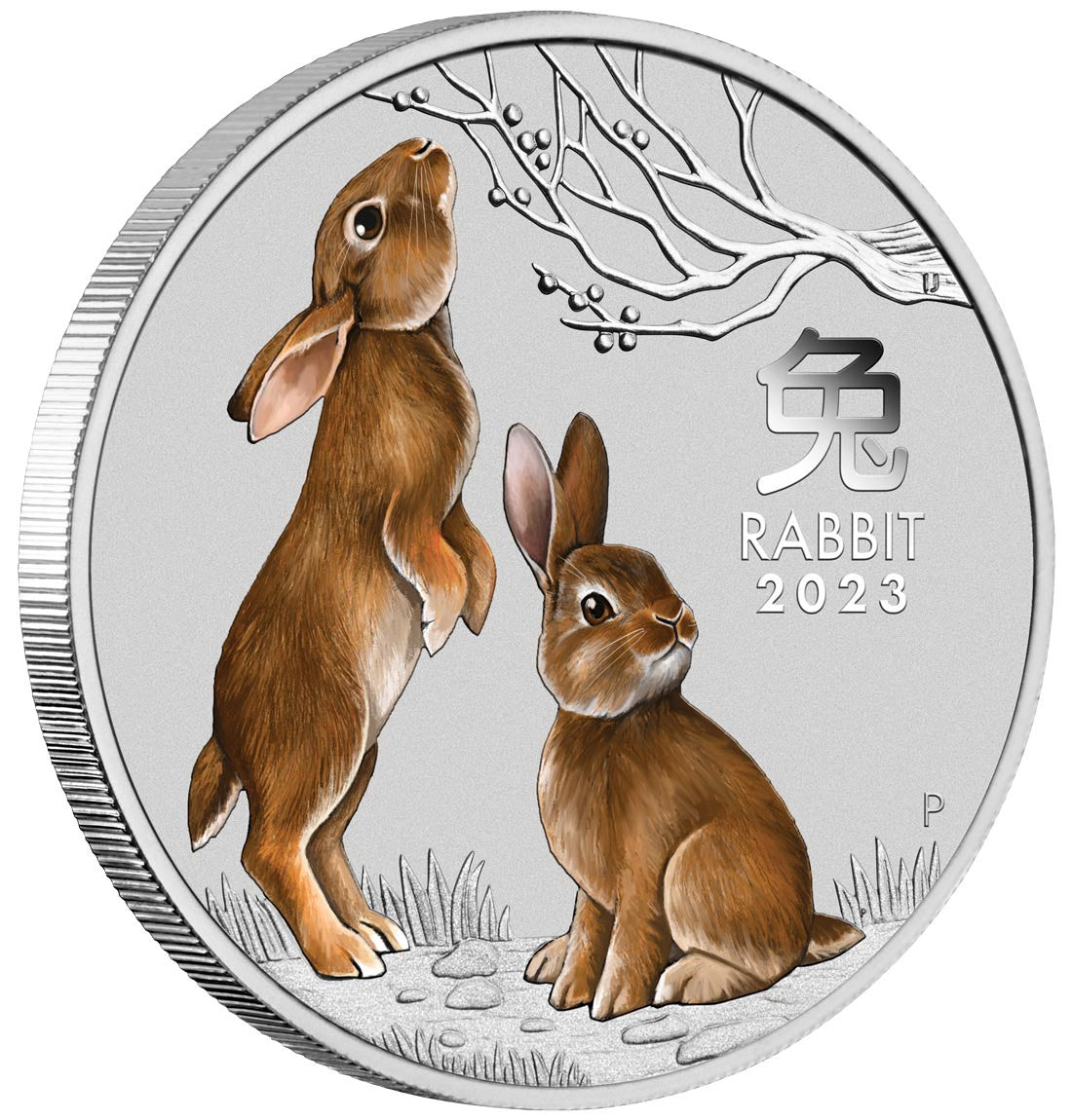 ANDA Sydney Money Expo 2023 Year of the Rabbit 1/4oz Silver Coloured Coin