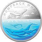 Royal Australian Mint 2023 $5 1oz Silver Proof Coloured Coin – Australian Antarctic Territory – Humpback Whale