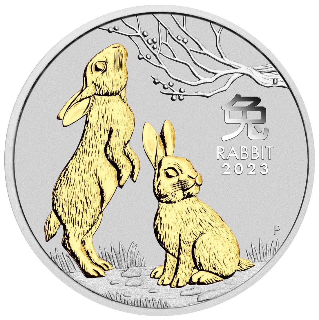 Year of the Rabbit 2023 1oz Silver Gilded Coin in Capsule Only with Certificate - Australian Lunar Series III