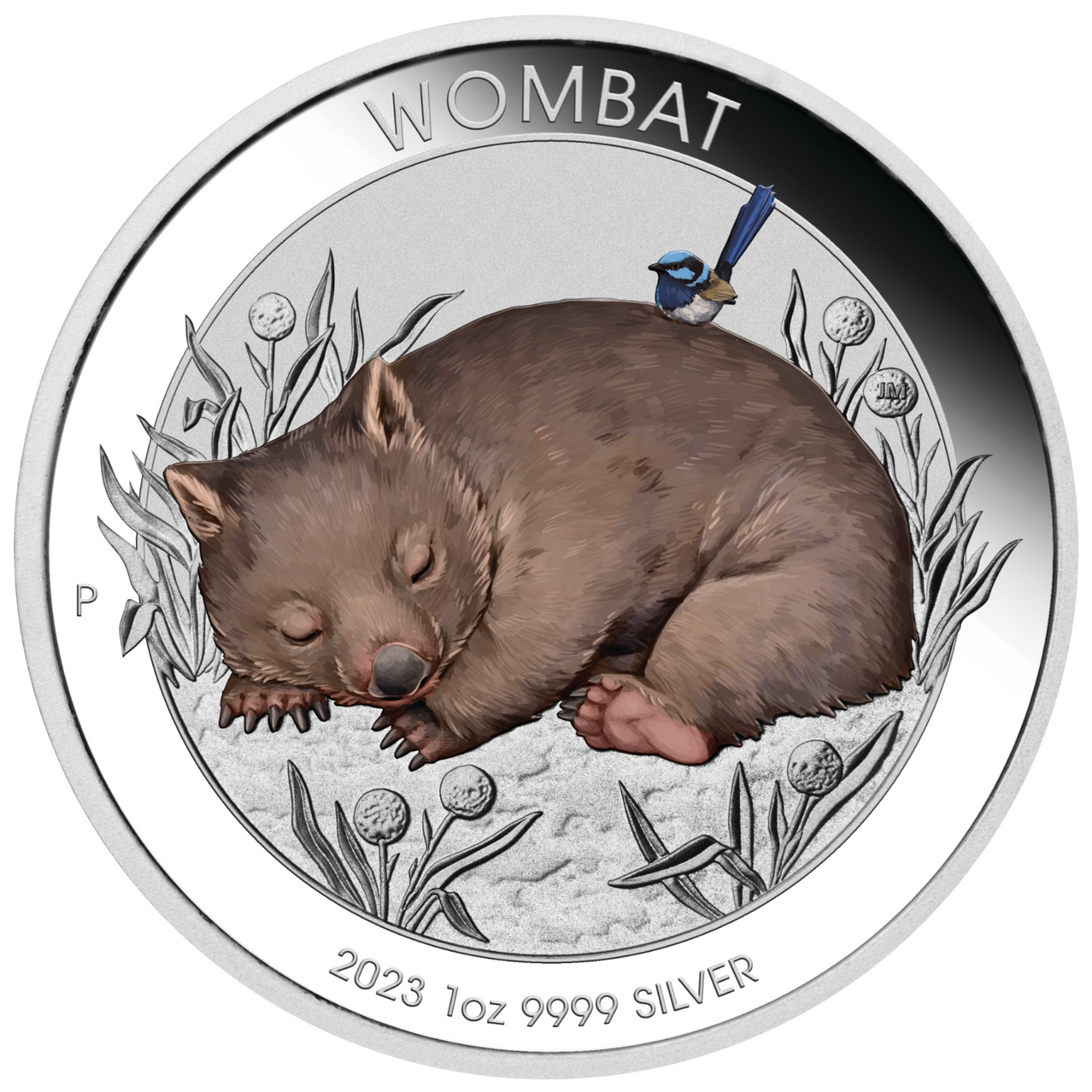 2023 Australian Wombat 1 oz 99.99% Ag Bu Coloured Coin in Card
